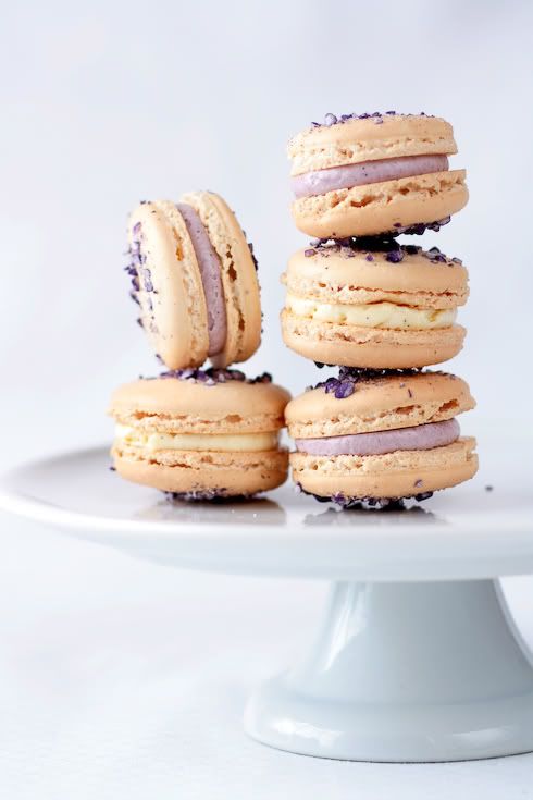 macaron photo: macarons macaron.jpg