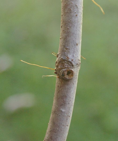 [LarryAgainNode2_zps5d6cf3cb]