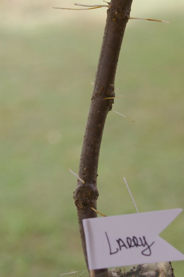 [Larrya_zps0c8c6eb4]