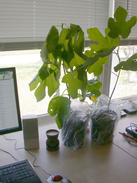 [NewKids_zps6cae74be]