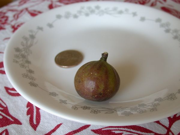 [Sals2a_zpsfa955f5c]