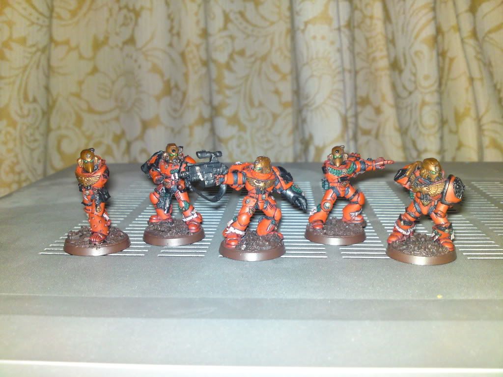 WIPSternguard11-1.jpg