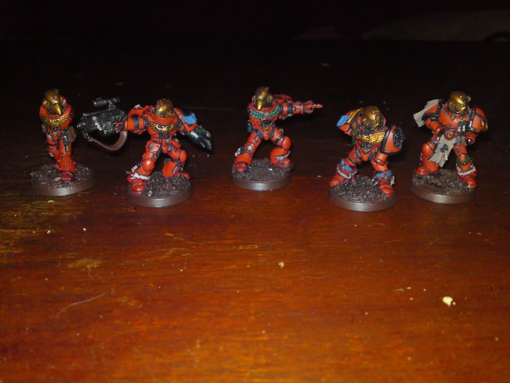 WIPSternguard14.jpg