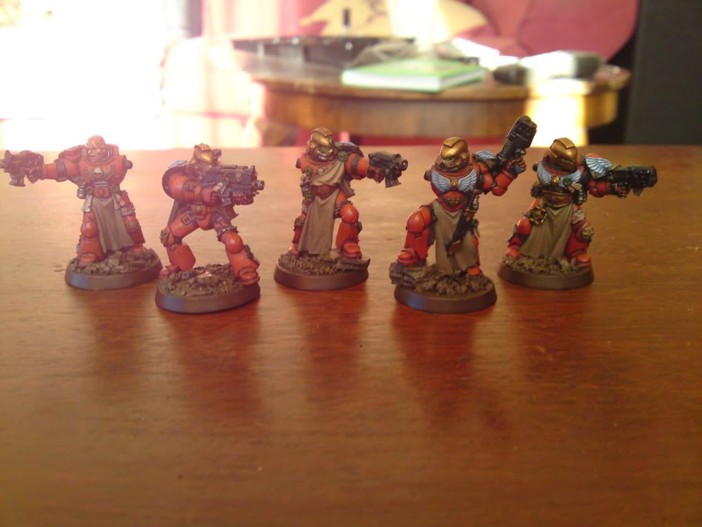 WIPSternguard20.jpg