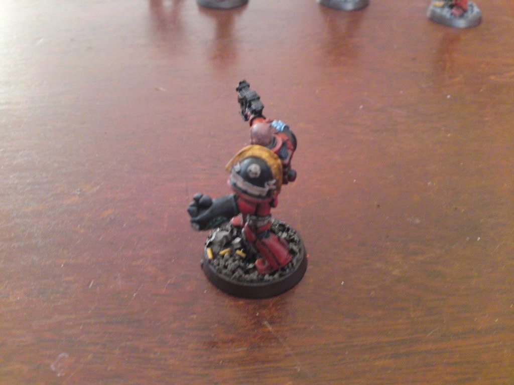 WIPSternguard29.jpg