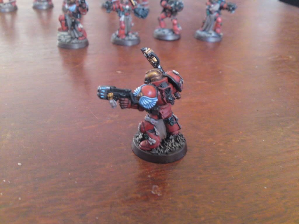 WIPSternguard33.jpg