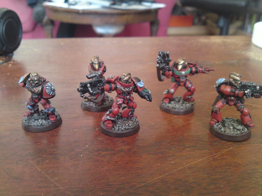 WIPSternguard38.jpg