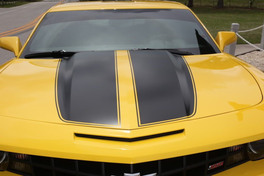 Window Tint As1 Line at Christopher Eads blog