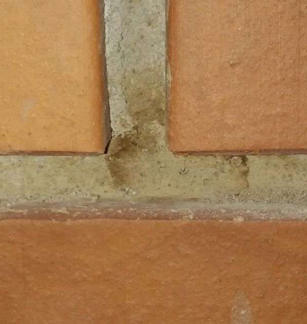 Pilt
