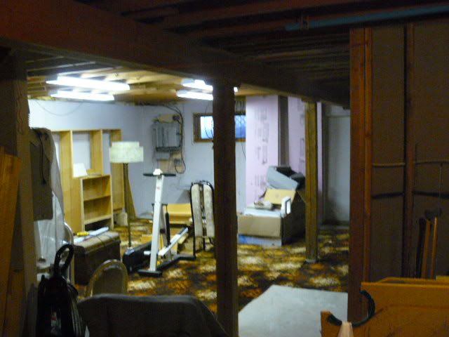 P1000491.jpg