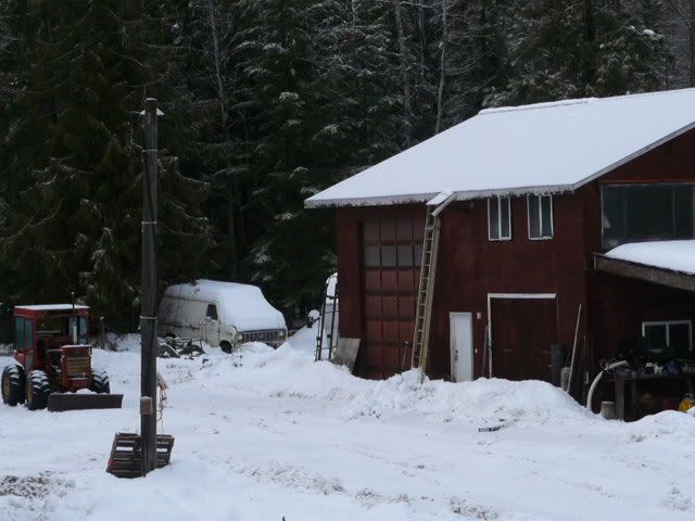 P1000504.jpg