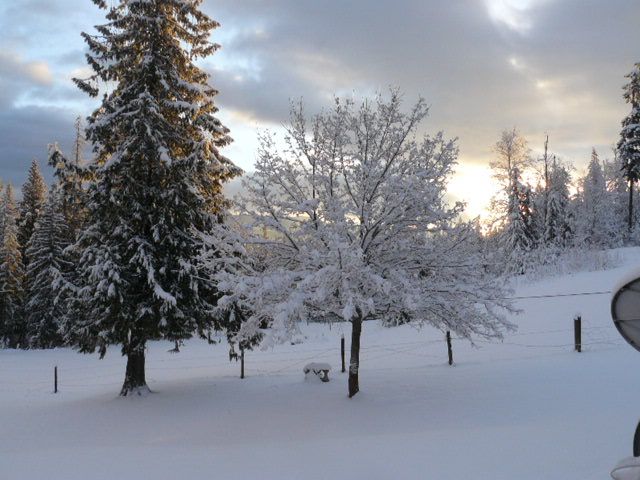 P1010082_zps250b9025.jpg