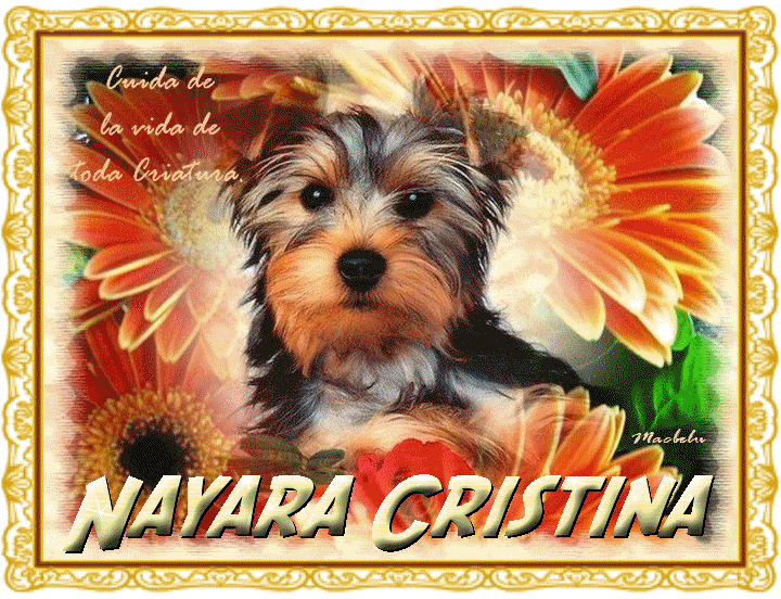 naya-2-1.gif picture by senhorita_2011