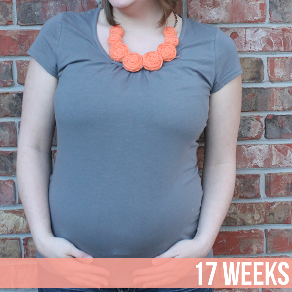  photo 17-weeks-3_zps2e688762.png