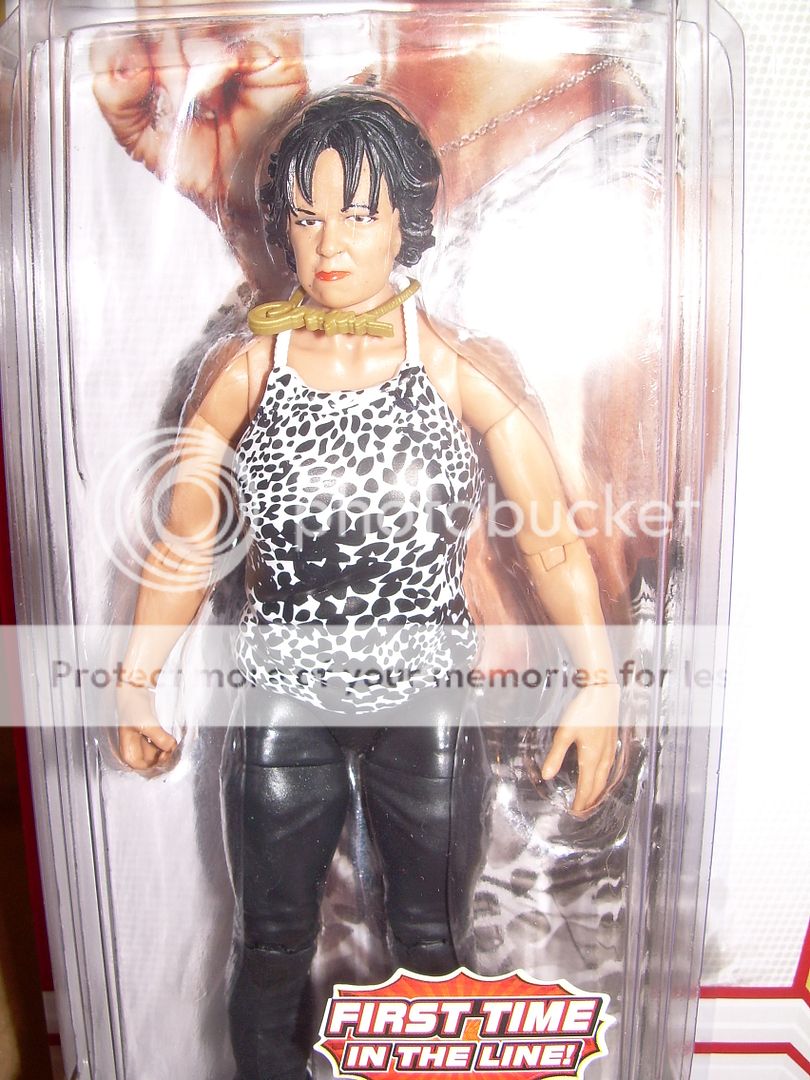 Mattel MOC 2011 WWE Wrestling Figure VICKIE GUERRERO Superstar #2 