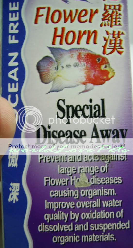 Flowerhorn Cichlid Fry Fish Disease Medical Medication